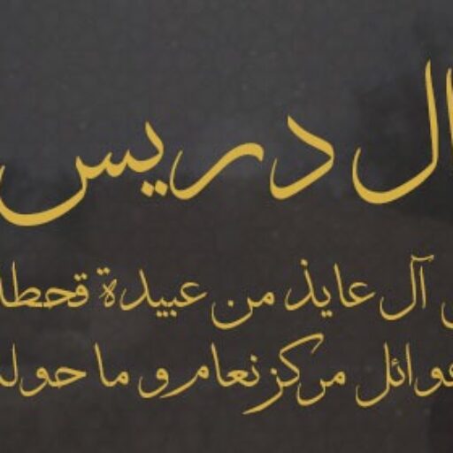 aldrees.info